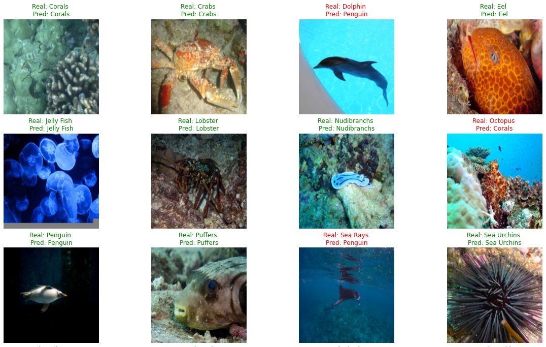 Sea Animal Detection
